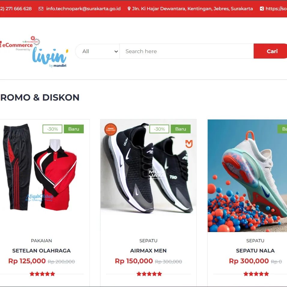 Fullstack Web Developer (PHP/JS)